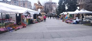 Piața Mihai Viteazul este mpodobit cu flori și miresme de primvar!